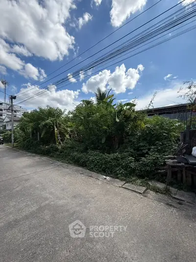 Vacant land plot with lush greenery and clear blue sky, ideal for development opportunities.