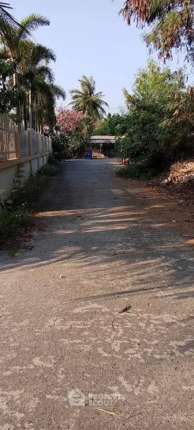 Charming driveway leading to a secluded property surrounded by lush greenery and palm trees.