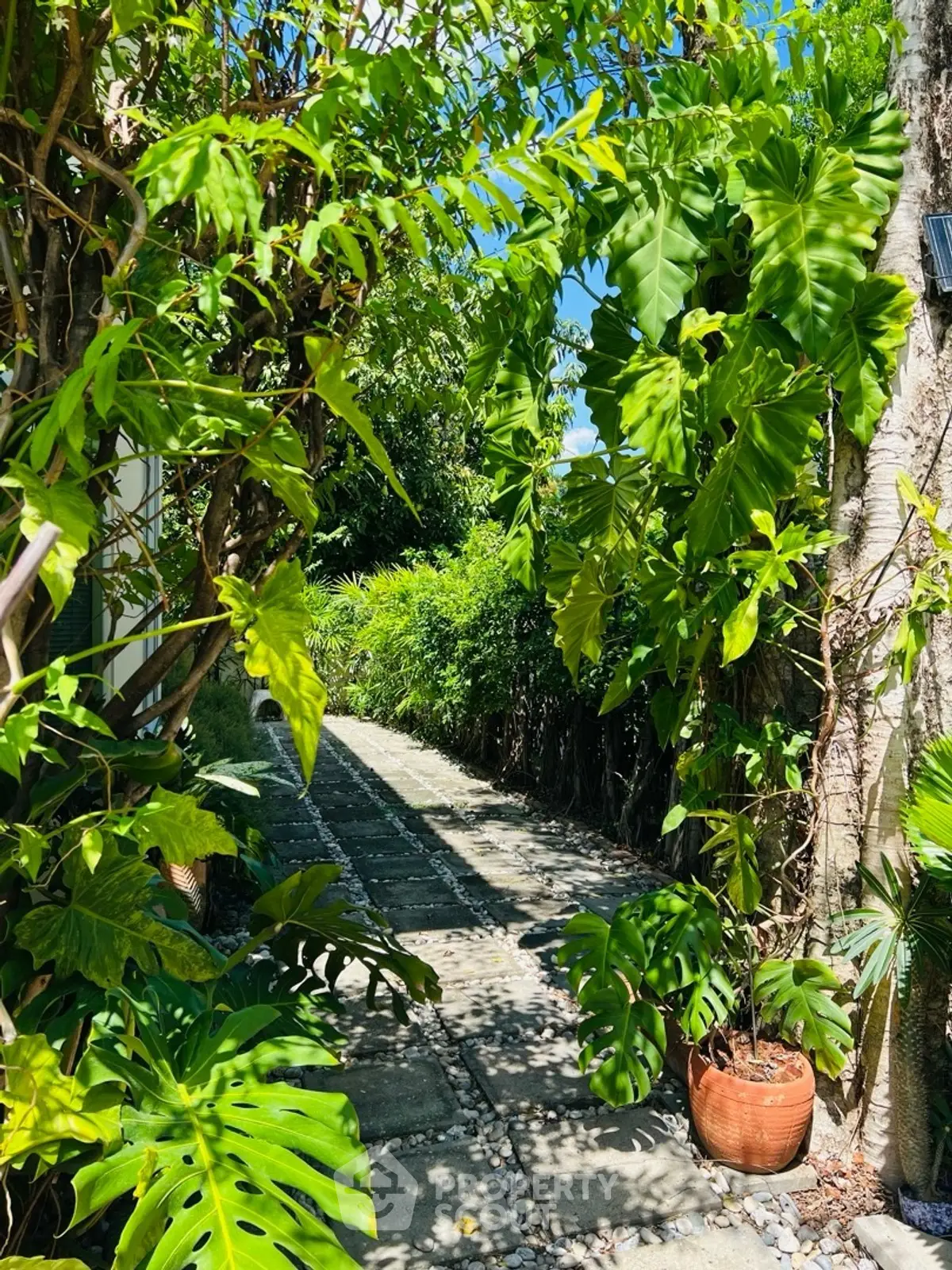 Lush garden pathway with vibrant greenery and potted plants, perfect for tranquil outdoor living.