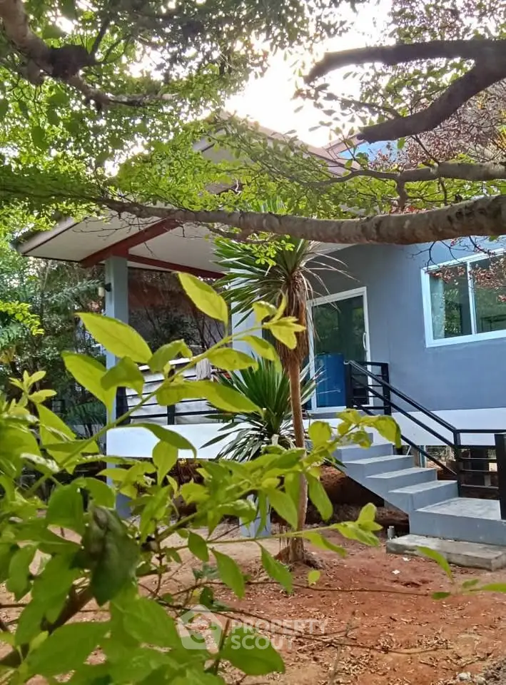 Charming modern house with lush garden and inviting entrance