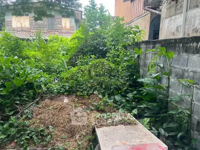 Overgrown garden area with lush greenery and rustic surroundings, ideal for landscaping potential.