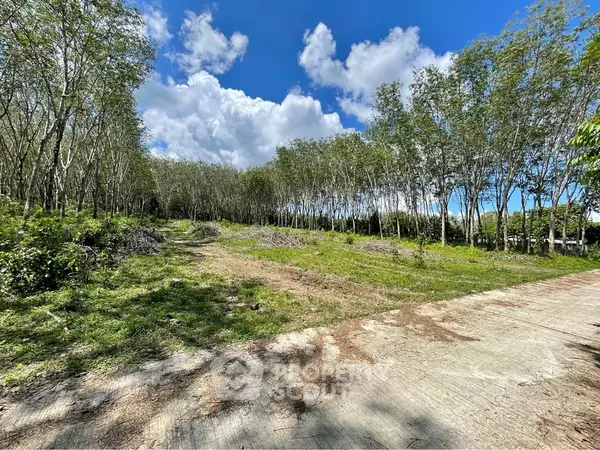 image_rental-27751639