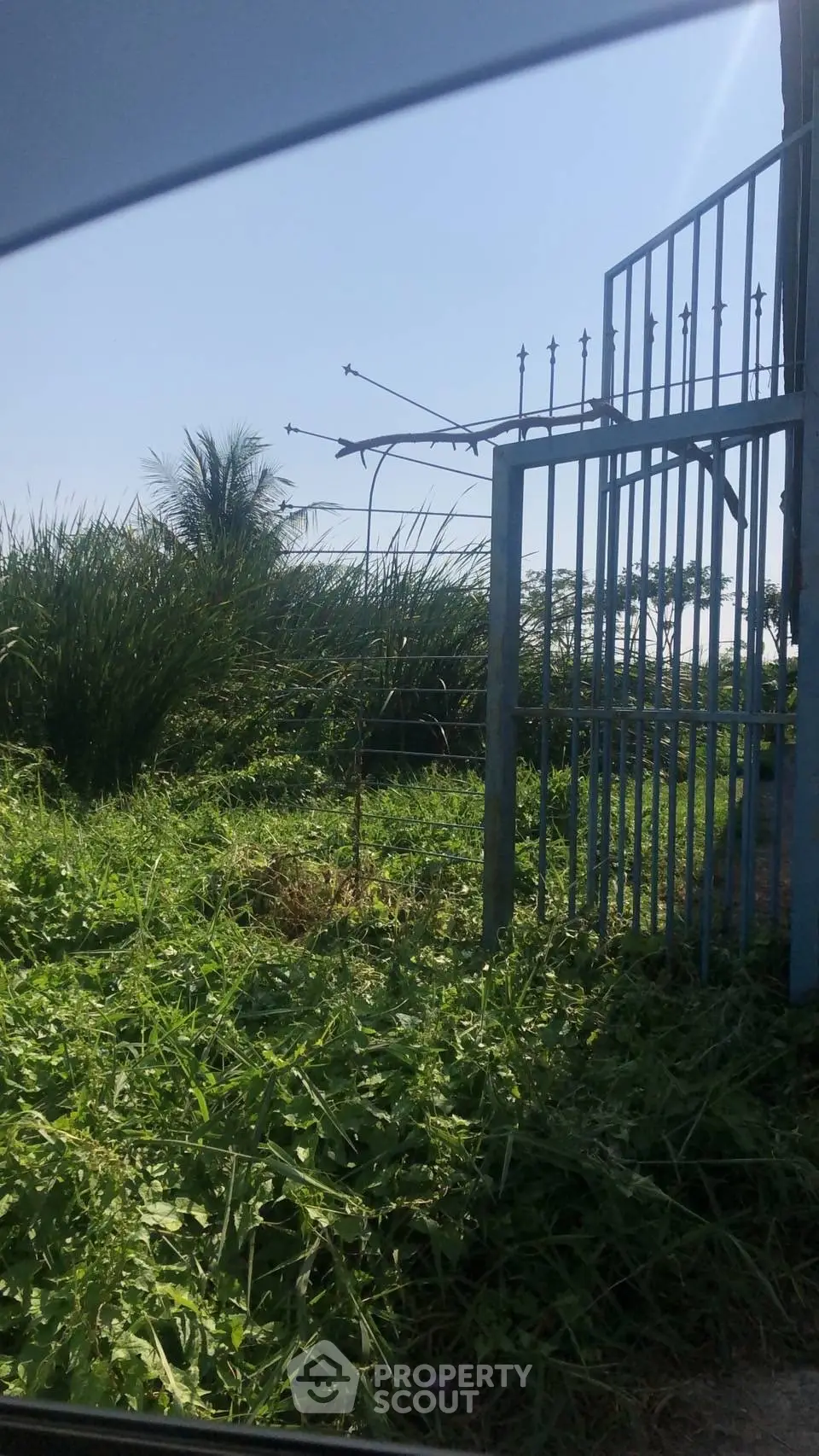 Explore this lush green plot with a gated entrance, perfect for development opportunities.