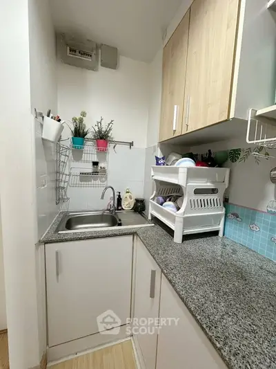 Compact kitchen with modern cabinets and granite countertop, featuring a dish rack and potted plants for a cozy touch.