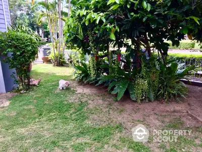 Charming garden area with lush greenery and a small dog enjoying the outdoors.