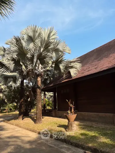 Charming wooden house with lush palm trees and clear blue sky, perfect for serene living.