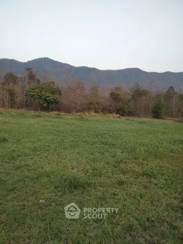 Scenic view of lush green field with mountain backdrop, perfect for real estate development.