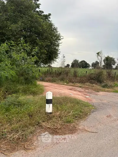 Scenic rural landscape with lush greenery and open road, perfect for development.