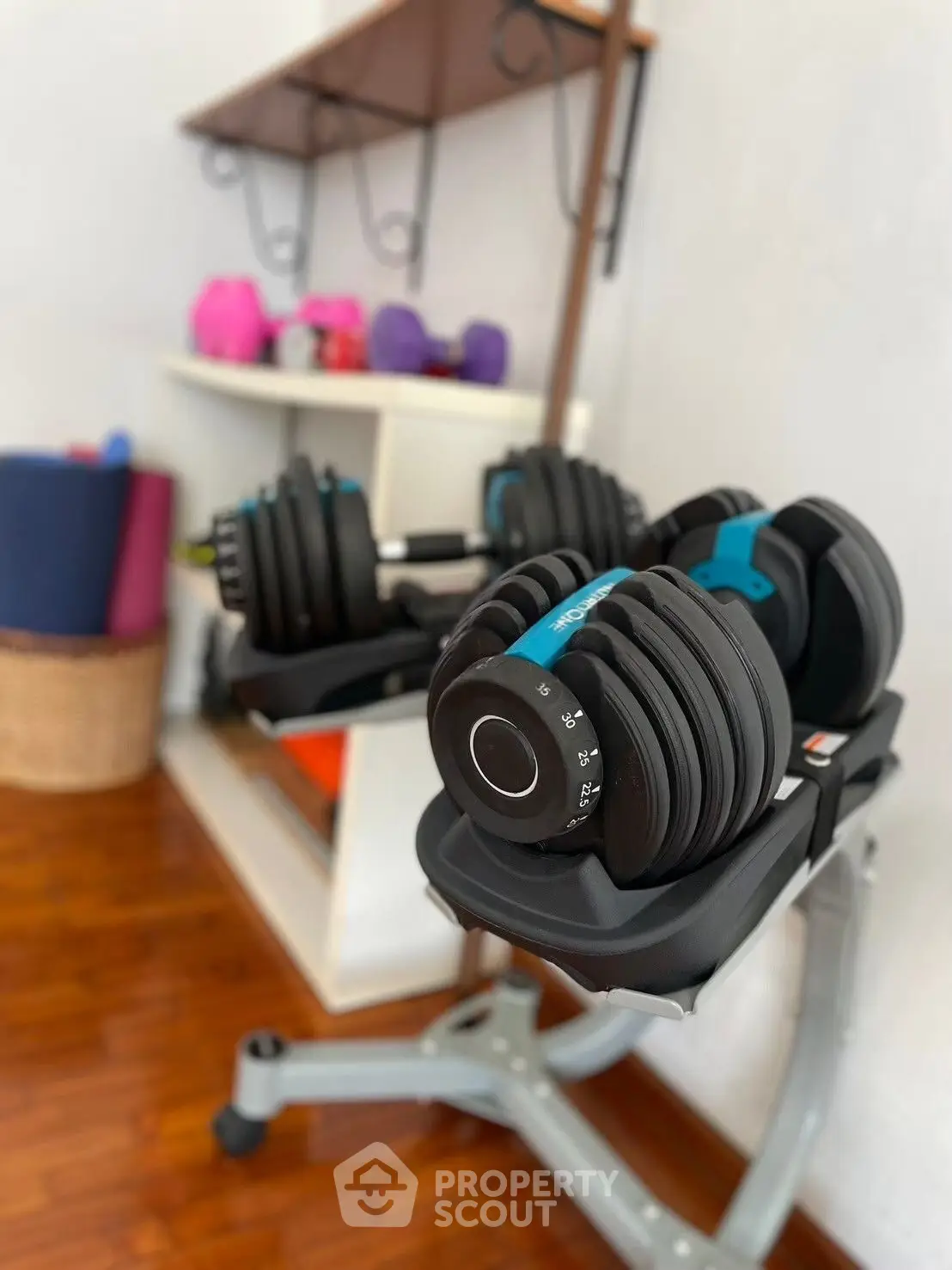 Home gym setup with adjustable dumbbells on a sleek stand, perfect for fitness enthusiasts.