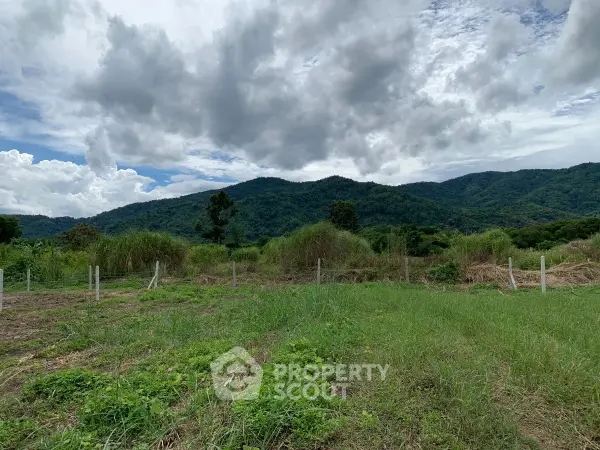 image_rental-26247372