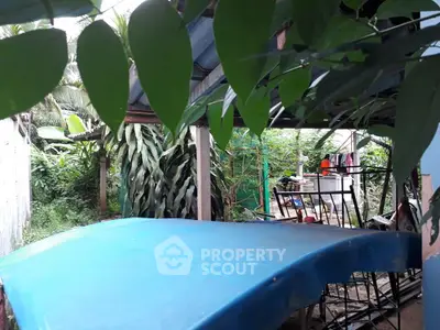 Charming garden area with lush greenery and outdoor seating, perfect for relaxation and entertaining.