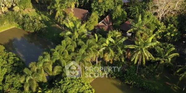 image_rental-26311569