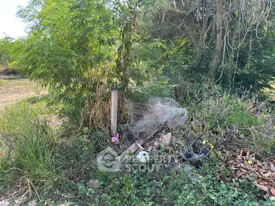 Vacant land with lush greenery and potential for development