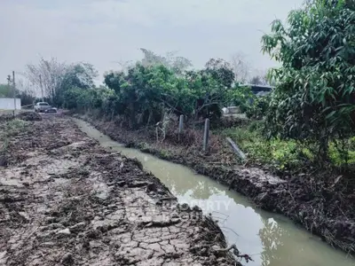 Rural land with dirt road and small canal, ideal for agricultural development.