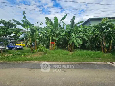 Lush banana trees in a residential neighborhood, offering a tropical vibe and potential for landscaping.