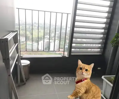 Spacious balcony with stunning city view and charming cat, perfect for relaxation.