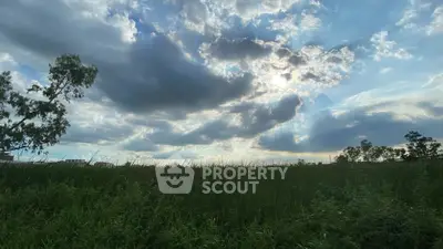 image_rental-28268217