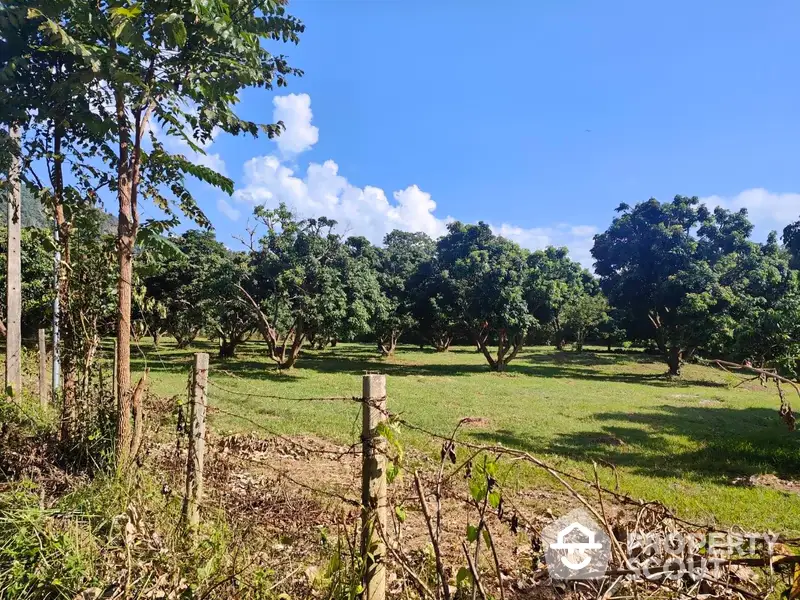 Expansive and serene agricultural land with lush greenery and mature trees under a clear blue sky, ideal for farming or eco-friendly living.