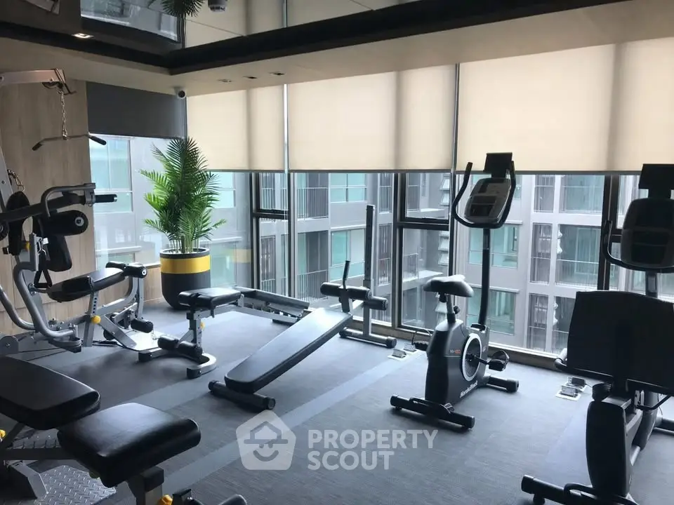 Modern gym with state-of-the-art equipment and large windows in a luxury apartment building.