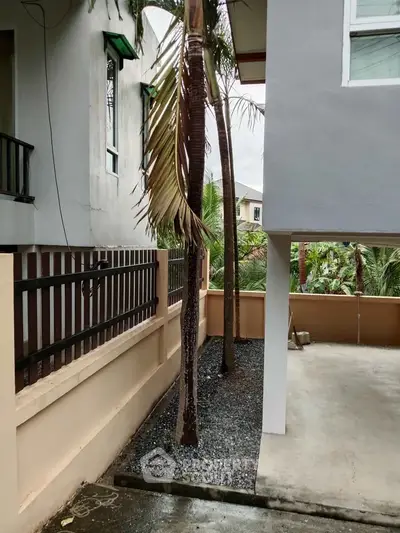 Modern residential exterior with palm trees and spacious driveway.