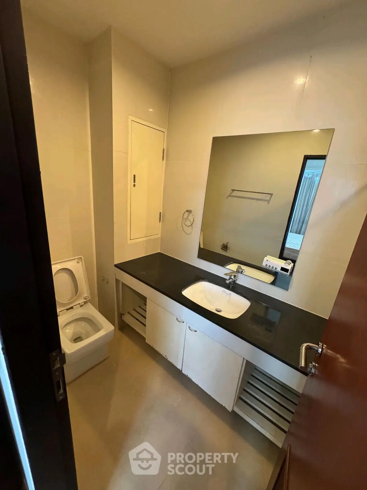 Modern bathroom with sleek vanity and large mirror