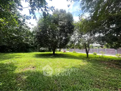 Lush green garden with mature trees and sunny ambiance, perfect for serene outdoor living.