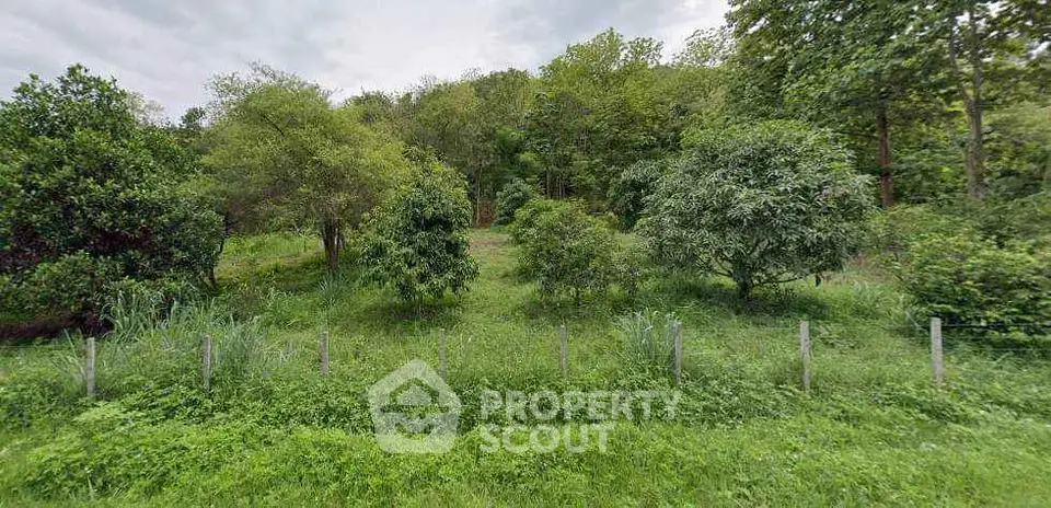 Lush green garden area with trees and fence, perfect for nature lovers seeking tranquility.