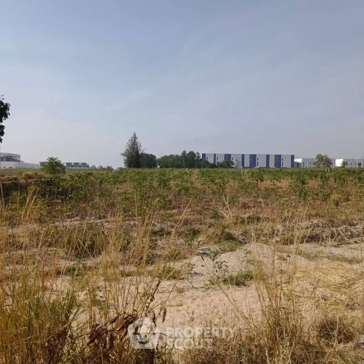 Expansive plot of land with potential for development, surrounded by greenery and distant modern buildings.