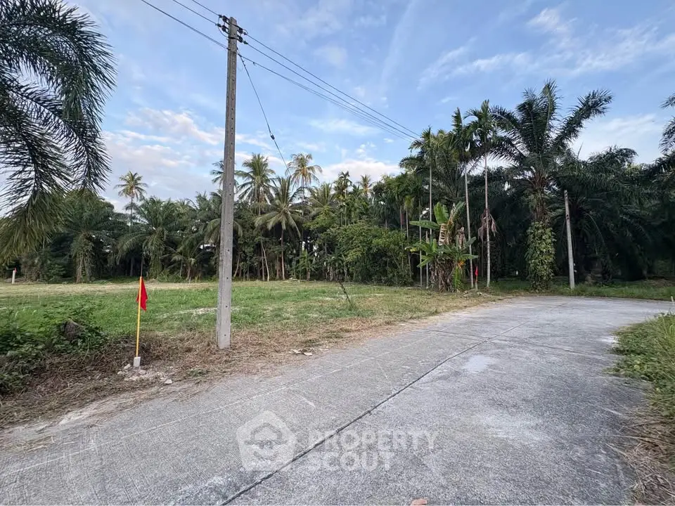 Scenic plot of land with lush greenery and palm trees, perfect for development.