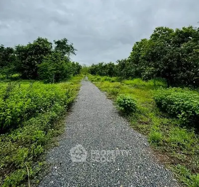 image_rental-31288228