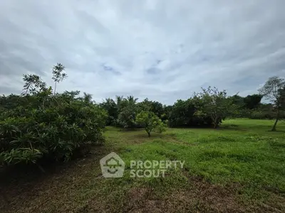Expansive lush green garden under a cloudy sky, perfect for nature lovers.
