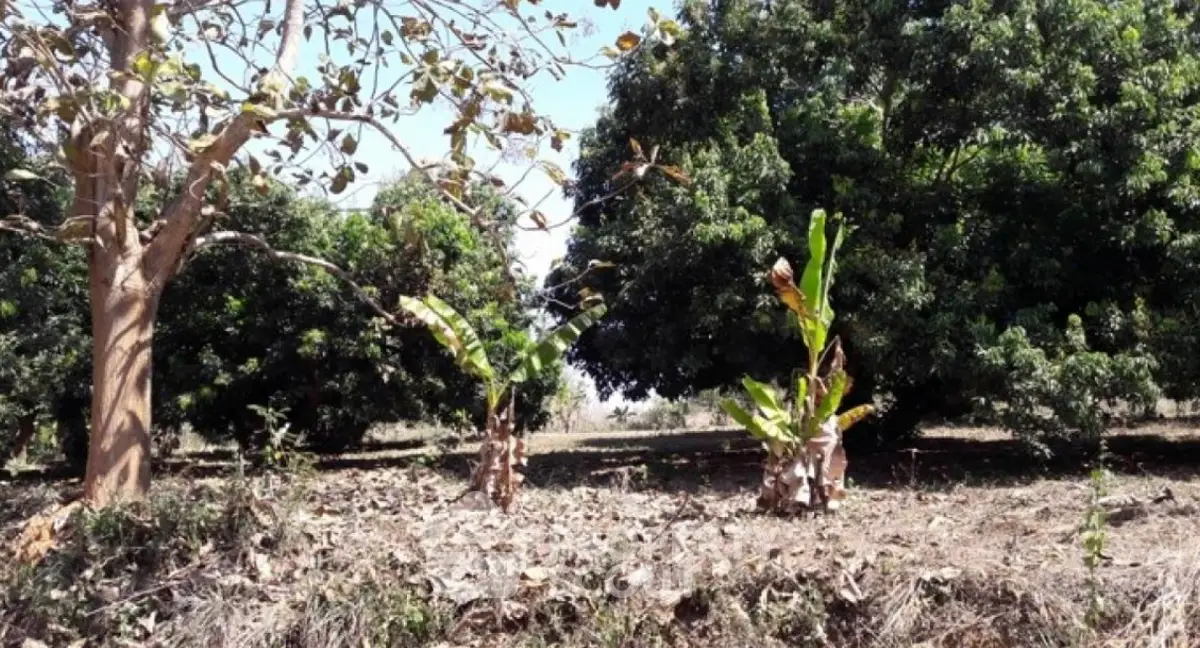 Screenshot 2568-10-04 at 23.41.44.png