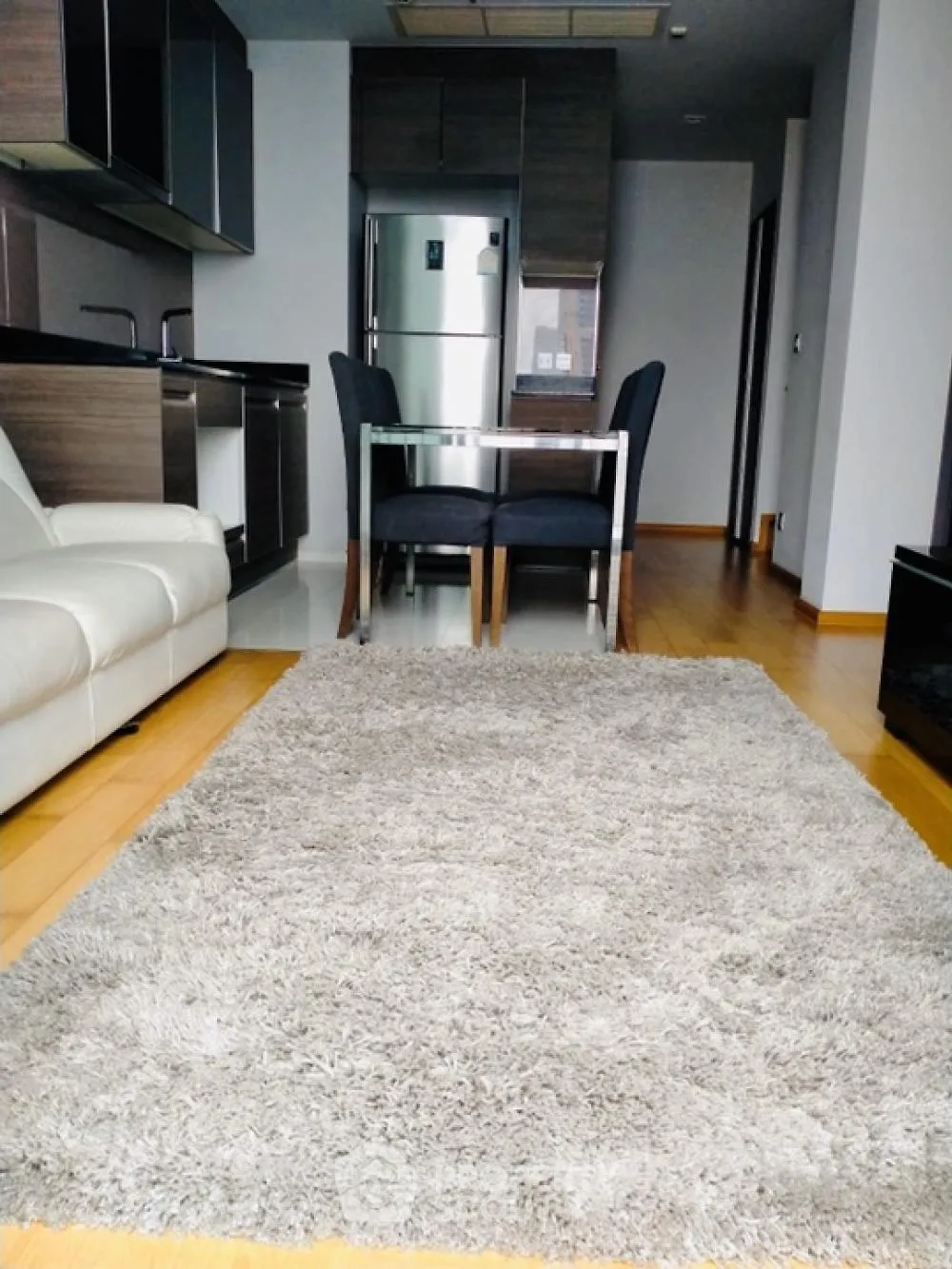 Modern open-layout kitchen and living area with sleek furniture and cozy rug