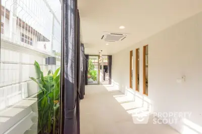 Bright hallway with large windows and indoor plants in modern home