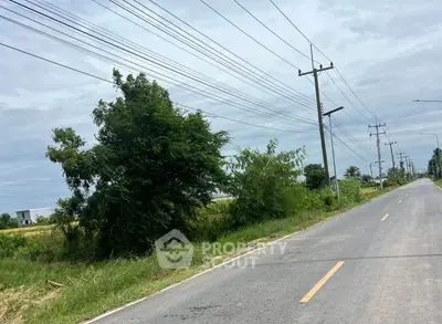 Scenic rural road with lush greenery and power lines, ideal for real estate development.