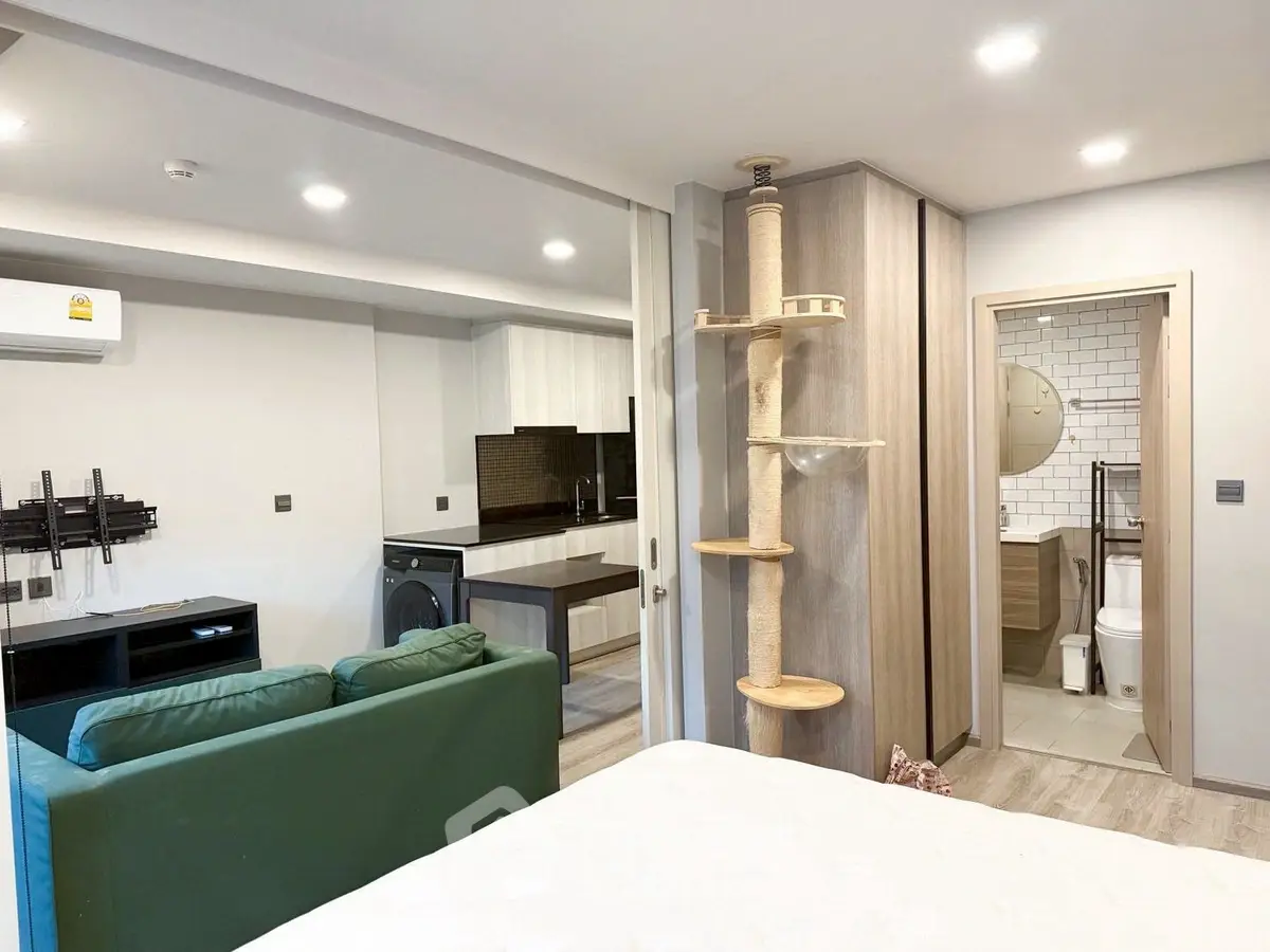 Modern open-plan studio with sleek kitchen and cozy living area, featuring a unique cat tree and stylish bathroom.