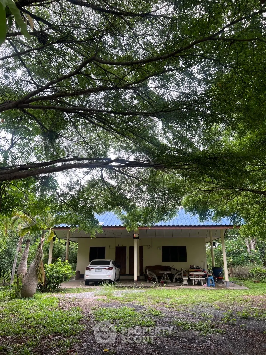 Charming countryside house with lush greenery and spacious front yard, perfect for nature lovers seeking tranquility.