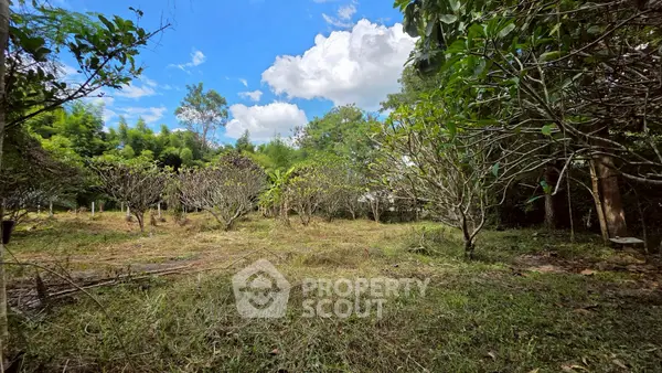 image_rental-26875818