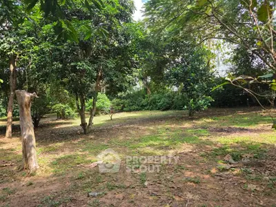 Spacious lush garden with mature trees and open grassy area, perfect for outdoor activities.