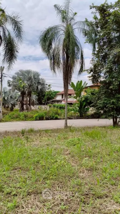 Charming suburban property with lush greenery and palm trees, perfect for tranquil living.
