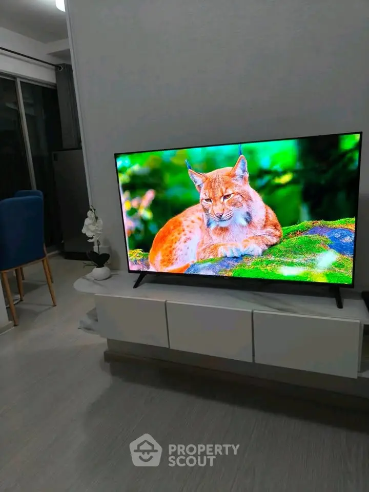 Modern living room with sleek TV stand and vibrant wall-mounted television.