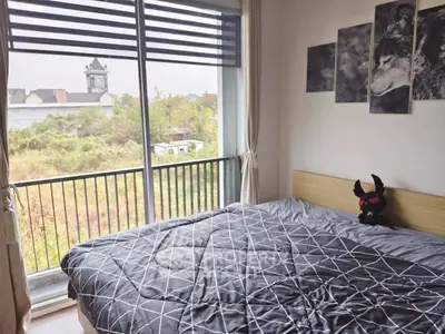 image_rental-29621923