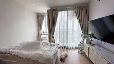 image_rental-29867683