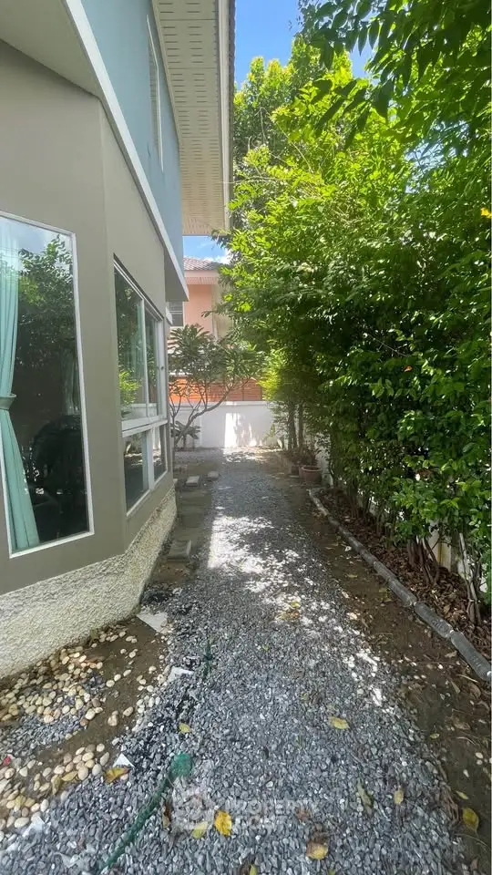 Charming garden pathway beside modern home with lush greenery and natural light.