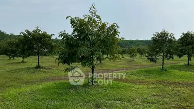Expansive green orchard with young trees under a clear sky, perfect for agricultural investment.
