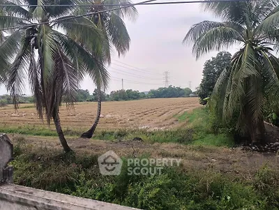 Scenic view of lush green farmland with palm trees and open fields, perfect for agricultural investment.