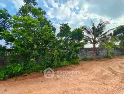 Spacious plot with lush greenery and palm trees, perfect for development or landscaping.