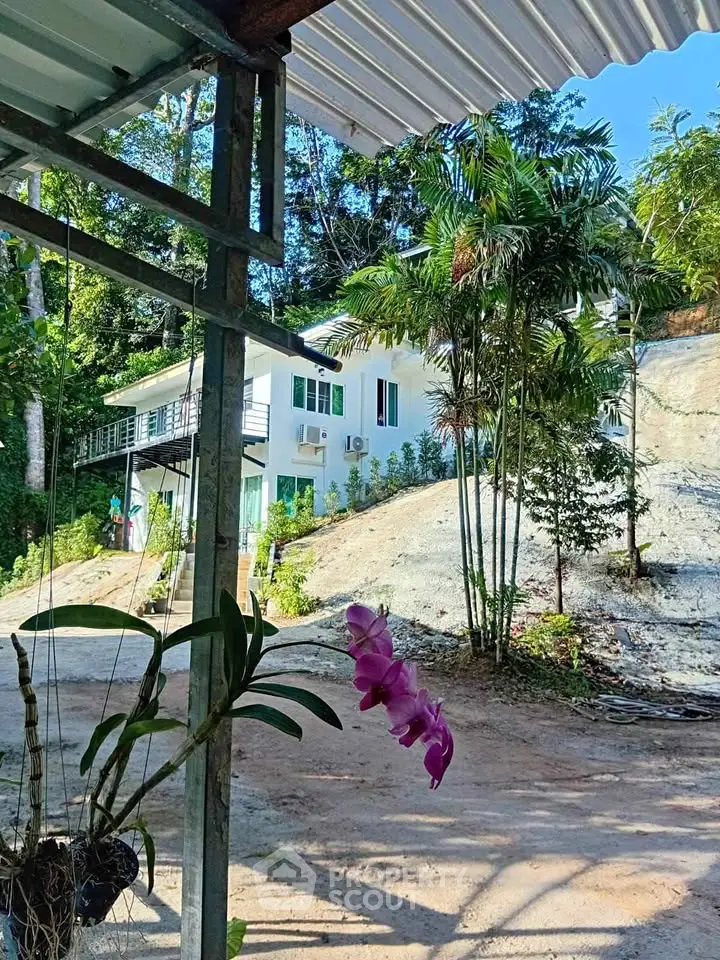 Charming hillside home with lush greenery and modern design, perfect for nature lovers seeking tranquility.