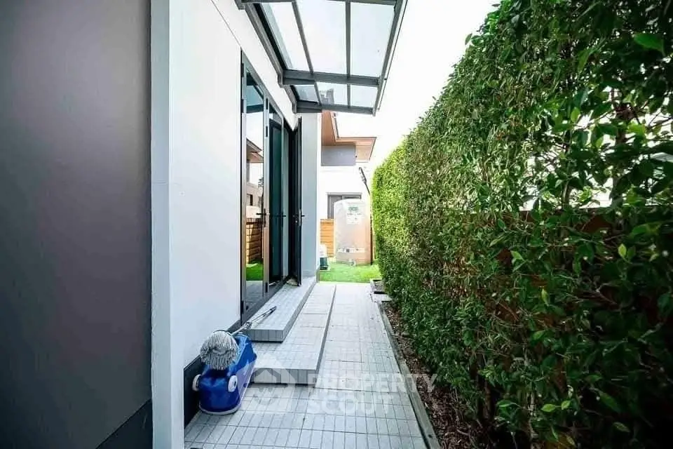 Modern side pathway with glass canopy and lush hedge