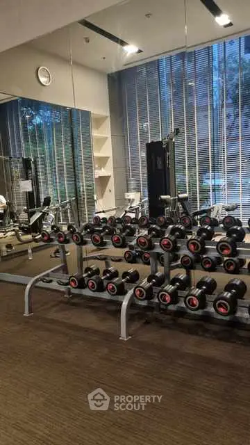 Modern gym with state-of-the-art equipment and large windows for natural light.